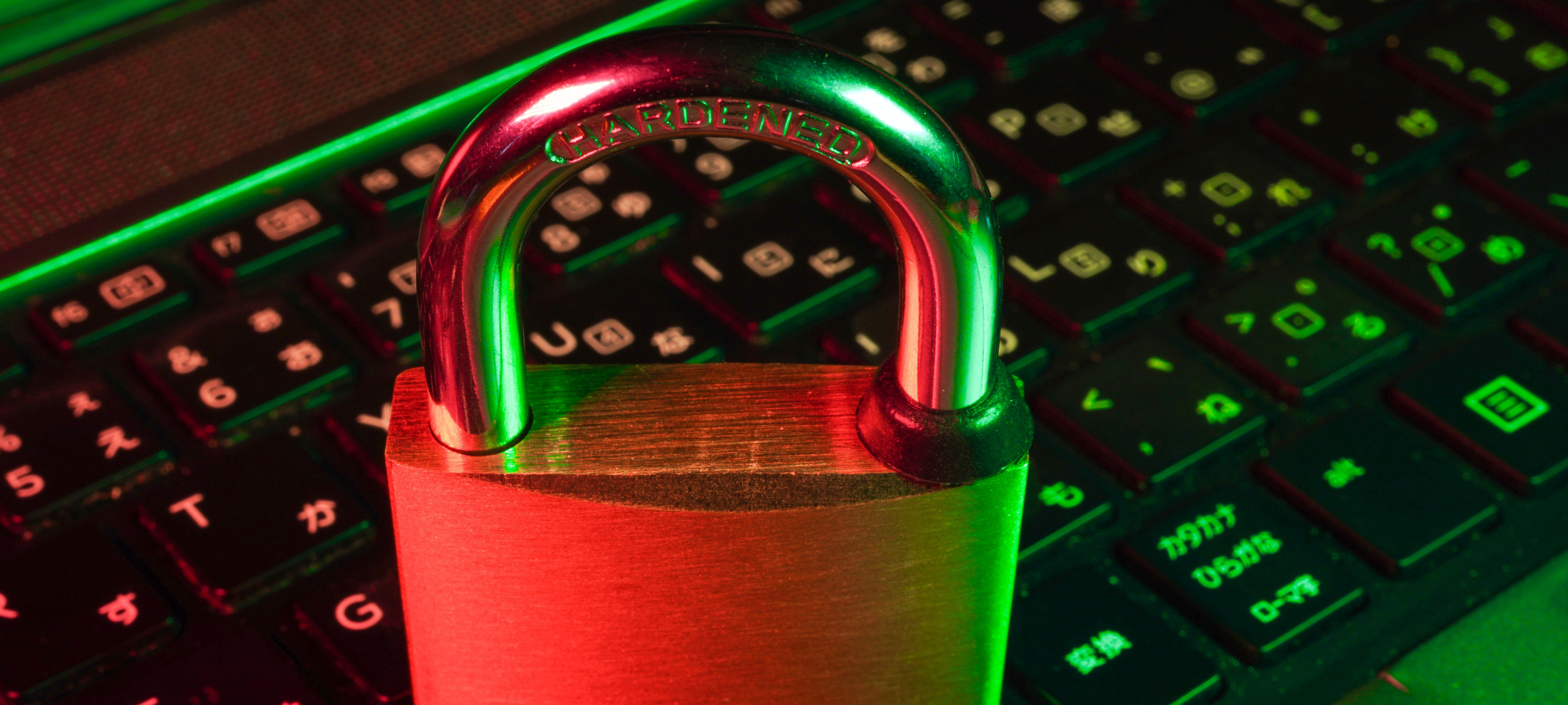 Key Security Measures for Your HR Database to Protect Employee Data