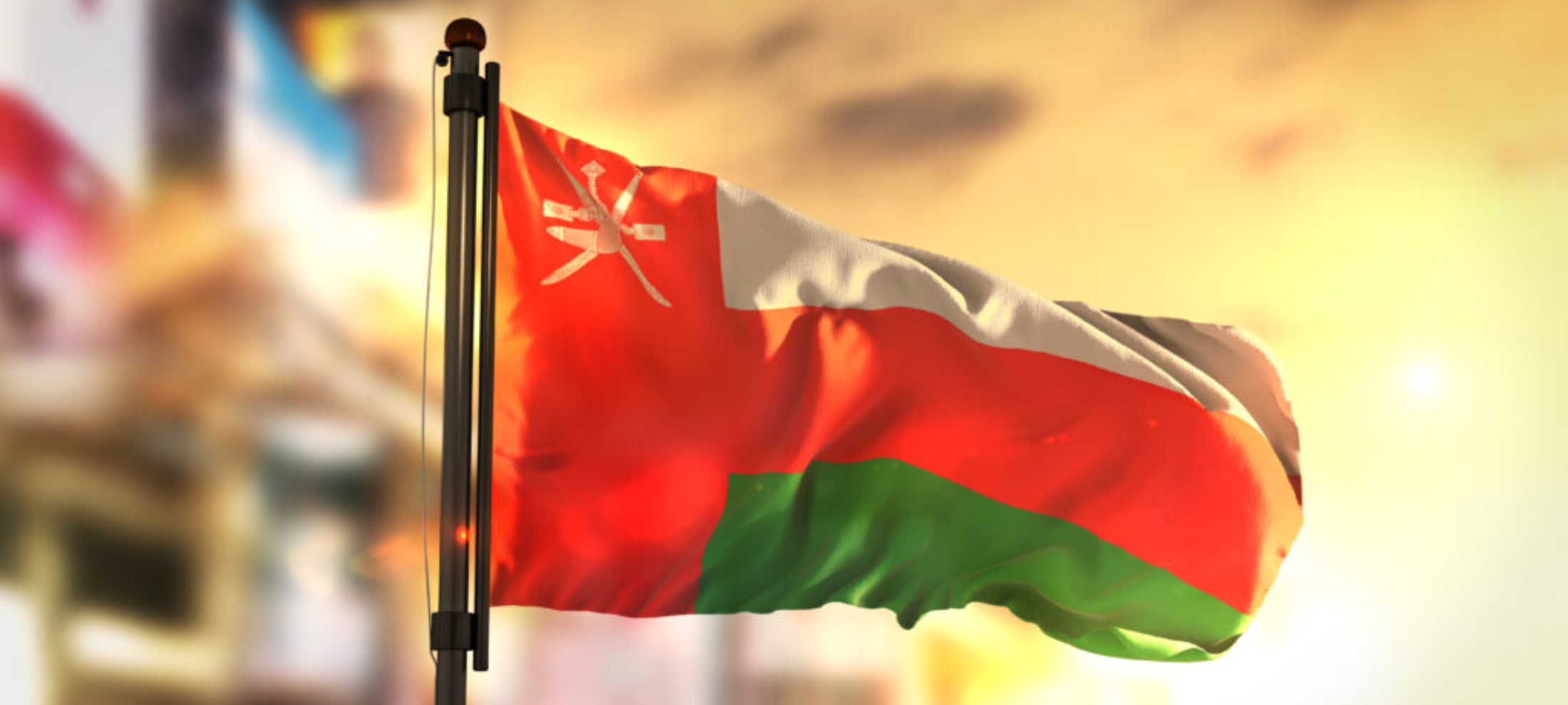 علم عُمان للتعبير عن مواجهة تحديات التوظيف والتحول الرقمي