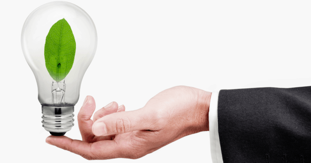 An image of a bulb representing the importance of going green